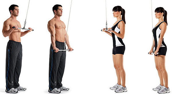 Sambungan Crossover Triceps. Teknik dengan tali, pegangan lurus, satu kuncir, dua tangan