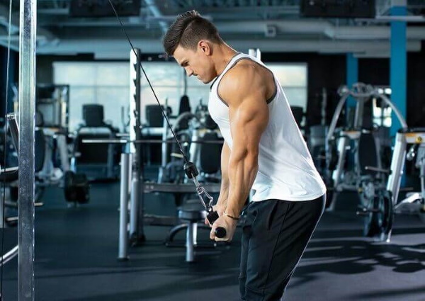 Sambungan Crossover Triceps. Teknik dengan tali, pegangan lurus, satu kuncir, dua tangan