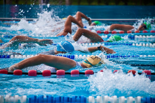 Tipos de treinos de fitness, nomes de grupos, força, circuito e outros