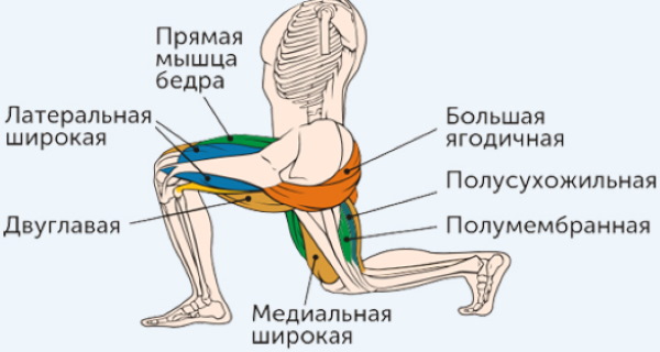 Paru-paru pada setiap kaki. Seperti yang ada, teknik dengan dumbbells, melompat ke atas, berat untuk anak perempuan. Gambar