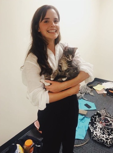 Emma Watson. Ảnh nóng, chân thực trong trang phục áo tắm, figure, tiểu sử, đời tư