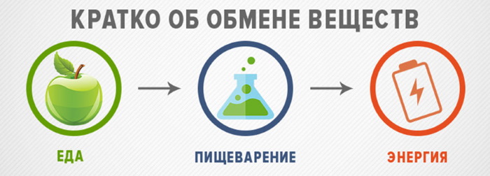 Никотин (никотинска киселина) у ињекцијама. Упутства, индикације за употребу, ток лечења