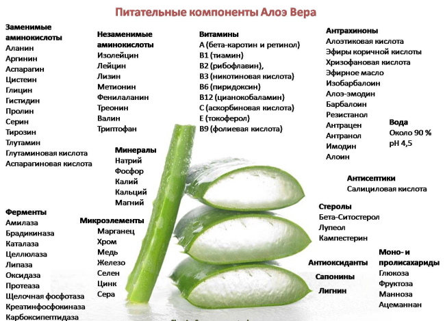 Ekstrak aloe dalam ampul. Permohonan dalam kosmetologi, harga