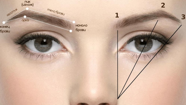 Jenis kening pada kanak-kanak perempuan. Foto, tajuk, pembetulan, tatu
